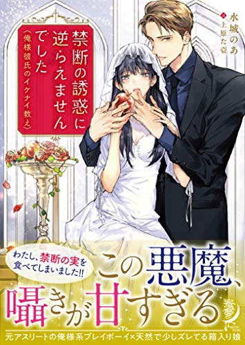 禁断の誘惑に逆らえませんでした 俺様彼氏のイケナイ教え