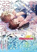 野良猫は溺愛する 本音のわからない年下男子に翻弄されています