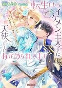 転生したら、なぜかイケメン王太子に天使みたいにあがめられてます 記憶があやふやなんですがくせ者王子にはそれがいいみたい