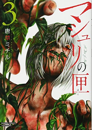 マシュリの匣(3)(完)