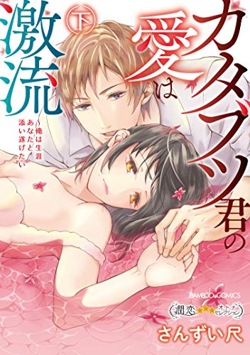 カタブツ君の愛は激流～俺は生涯あなたと添い遂げたい～ 下