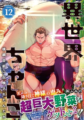 異世界ちゃんこ　横綱目前に召喚されたんだが 12表紙画像