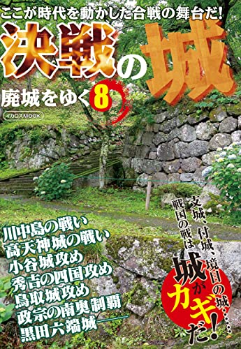 廃城をゆく 6 /イカロス出版（ムック） : 廃城をゆく (イカロス