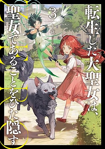 転生した大聖女は、聖女であることをひた隠す ZERO(3)