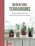 Miniature Terrariums