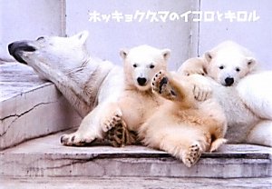 一気にわかる！池上彰の世界情勢２０１８ 国際紛争、一触即発編