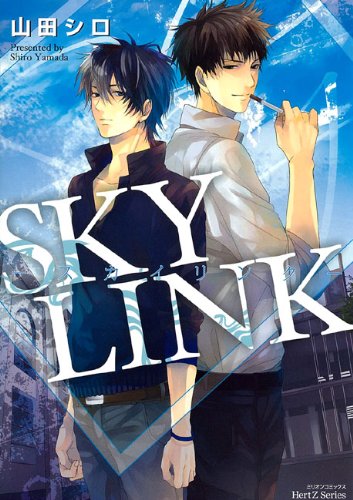 SKY LINK