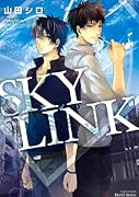 SKY LINK