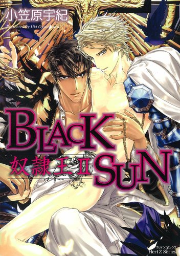 BLACK SUN奴隷王の表紙