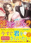 逆境シンデレラ