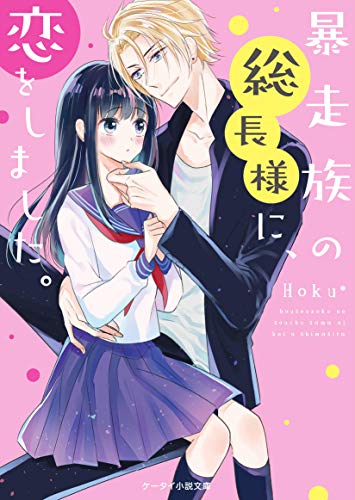 暴走族の総長様に、恋をしました。