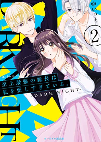 至上最強の総長は私を愛しすぎている。2～DARK NIGHT～ ケータイ小説文庫