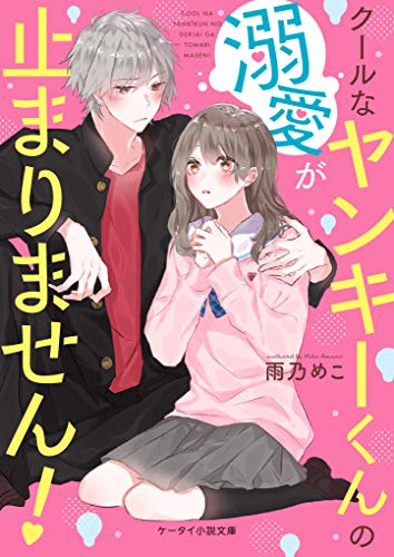 クールなヤンキーくんの溺愛が止まりません! (ケータイ小説文庫) ケータイ小説文庫