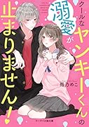 クールなヤンキーくんの溺愛が止まりません! (ケータイ小説文庫) ケータイ小説文庫