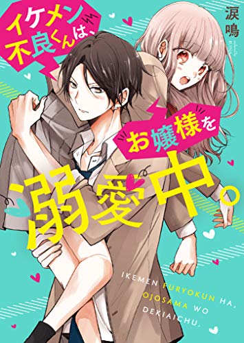イケメン不良くんは、お嬢様を溺愛中。 ケータイ小説文庫