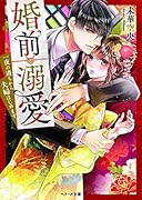 婚前溺愛〜一夜の過ちから夫婦はじめます〜 (ベリーズ文庫)