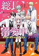 総長さま、溺愛中につき 。SPECIAL～最大級に愛されちゃってます～ ケータイ小説文庫