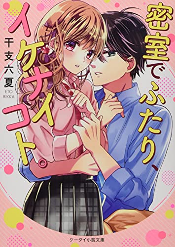 密室でふたり、イケナイコト。 ケータイ小説文庫