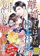 離婚するはずが、極上社長はお見合い妻に滾る愛を貫く