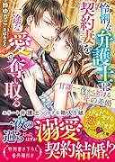 怜悧な弁護士は契約妻を一途な愛で奪い取る～甘濡一夜から始まる年の差婚～