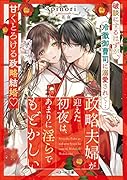 政略夫婦が迎えた初夜は、あまりに◯らで もどかしい