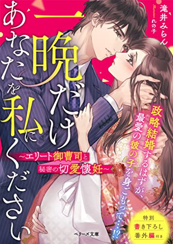 一晩だけあなたを私にください〜エリート御曹司と秘密の切愛懐妊〜