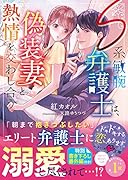 S系敏腕弁護士は、偽装妻と熱情を交わし合う