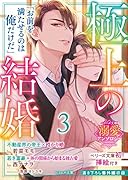 極上の結婚3~帝王&富豪編~【ベリーズ文庫溺愛アンソロジー】