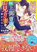 離縁するつもりが、極上御曹司はお見合い妻を逃がさない
