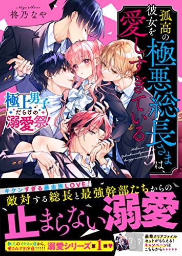 孤高の極悪総長さまは、彼女を愛しすぎている【極上男子だらけの溺愛祭!】