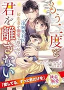 凄腕外科医は初恋妻を溺愛で取り戻す〜もう二度と君を離さない〜【極上スパダリの執着溺愛シリーズ】