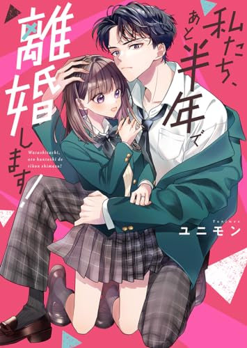 私たち、あと半年で離婚します!