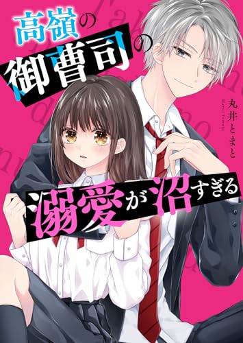 高嶺の御曹司の溺愛が沼すぎる