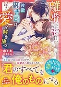 離婚まで30日、冷徹御曹司は昂る愛を解き放つ