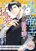 財界帝王は逃げ出した政略妻を猛愛で満たし尽くす【大富豪シリーズ】