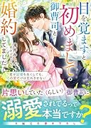 目を覚ますと初めましての御曹司と婚約してました〜君が記憶を失くしても、この愛だけは忘れさせない〜