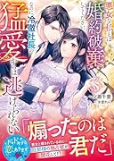 悪女な私は身を引きますので、どうぞお幸せに(仮)