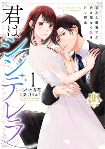 君はシンデレラ〜孤高な御曹司が絶え間なく愛を注ぐ理由〜の表紙