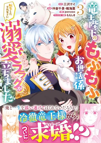 竜王陛下のもふもふお世話係～転生した平凡女子に溺愛フラグが立ちました～ 3