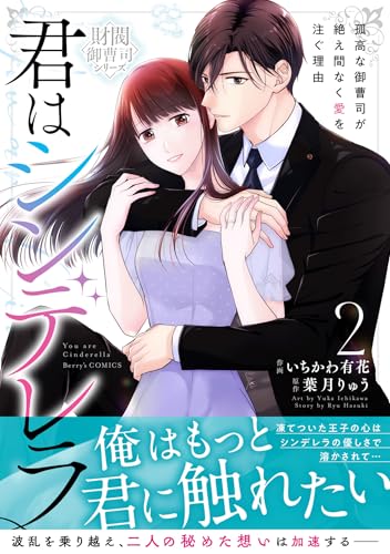 君はシンデレラ～孤高な御曹司が絶え間なく愛を注ぐ理由～【財閥御曹司シリーズ】　2