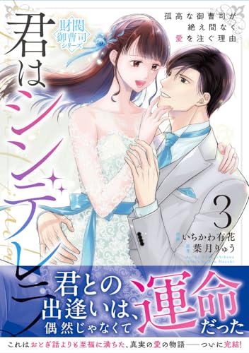 君はシンデレラ〜孤高な御曹司が絶え間なく愛を注ぐ理由〜【財閥御曹司シリーズ】 3