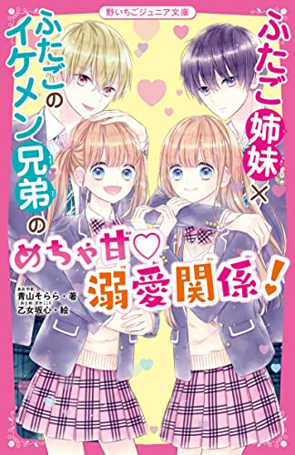 野いちご文庫 19冊 野いちご文庫 19冊 - メルカリ