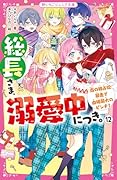 総長さま、溺愛中につき。12 南の独占欲暴走で由姫最大のピンチ!