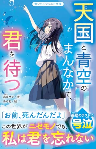 天国と青空のまんなかで、君を待つ