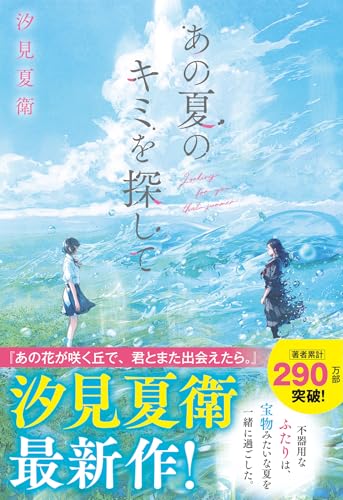 あの夏のキミを探して