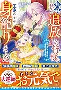 辺境に追いやられた伯爵令嬢は冷徹な王子に溺愛される(仮)