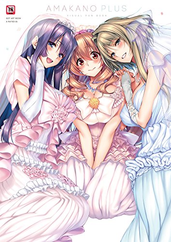 アマカノ+ビジュアルファンブック