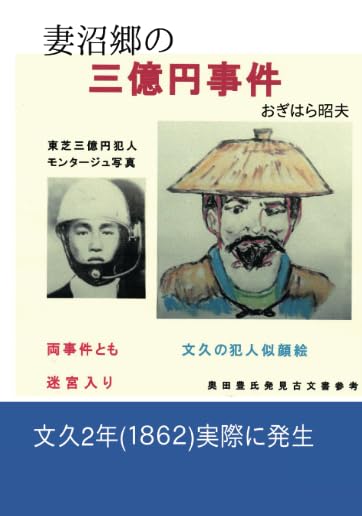 妻沼郷の三億円事件【POD】 火付盗賊改組の手配古文書発見により実際の事件