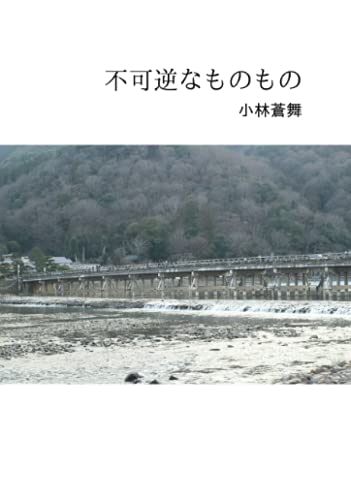 不可逆なものもの【POD】