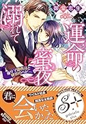 運命の蜜夜に溺れて 俺サマ御曹司と秘密のベビー